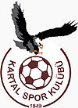 Kartalspor