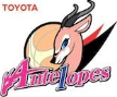 Toyota Antelopes