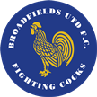 Broadfields