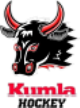 Kumla Black Bulls