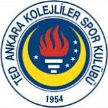 Kolejliler